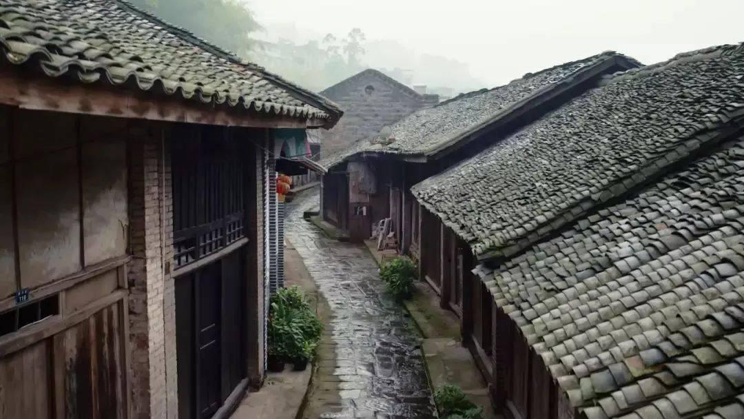 问一问:孕妇脾胃虚寒怎么办?孕妇脾气虚吃什么食物呢?-智能问答网站,快速解决你的问题